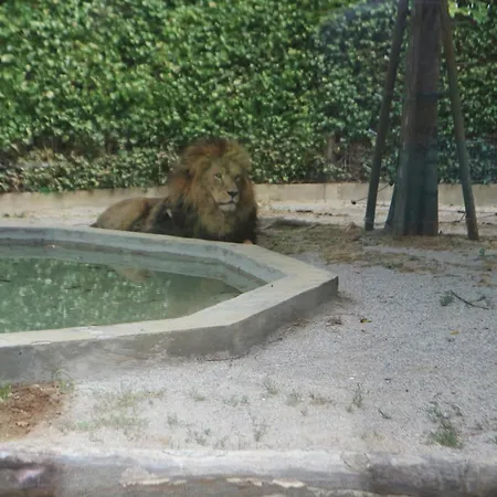 Lejlighed Conchiglie *