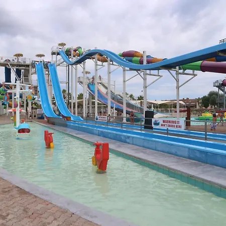 Conchiglie Lignano Sabbiadoro