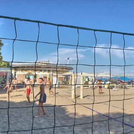 Conchiglie Lignano Sabbiadoro