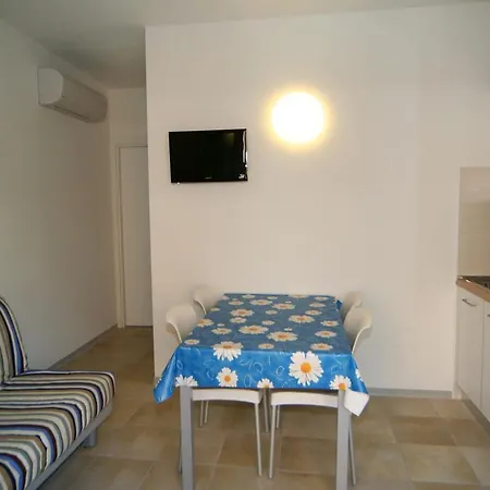 Conchiglie * Lignano Sabbiadoro