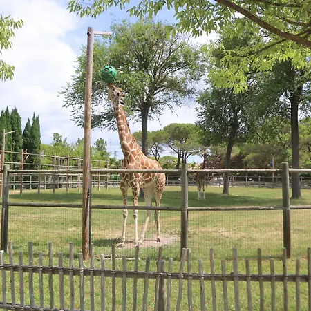 Апартаменты Conchiglie