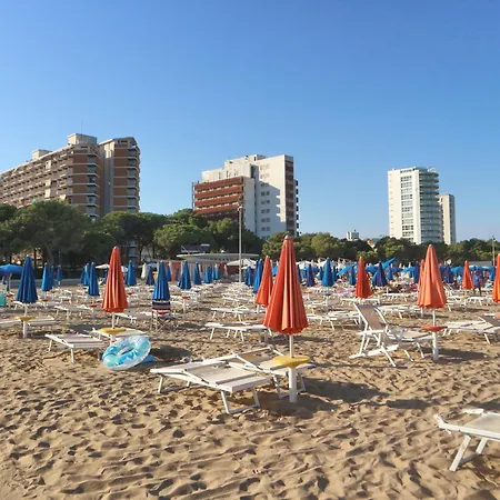 Conchiglie * Lignano Sabbiadoro