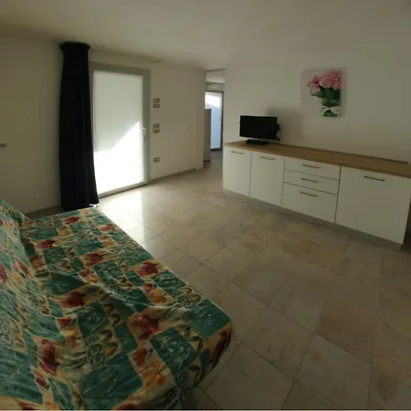 Conchiglie * Lignano Sabbiadoro