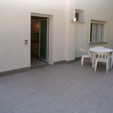 Conchiglie Lignano Sabbiadoro